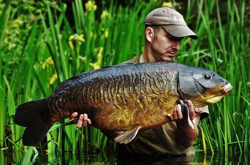 Scaley / Alistair White (Алистер Уайт) / Wraysbury 2