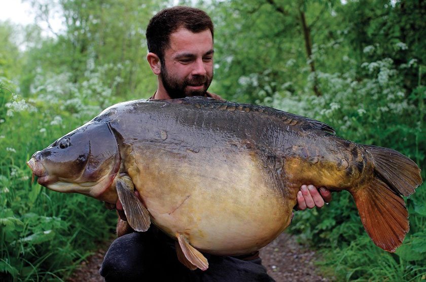 El 's Fish (53lb 8oz) / Люк Валлори (Luke Vallory) / North Met / 2016 г.