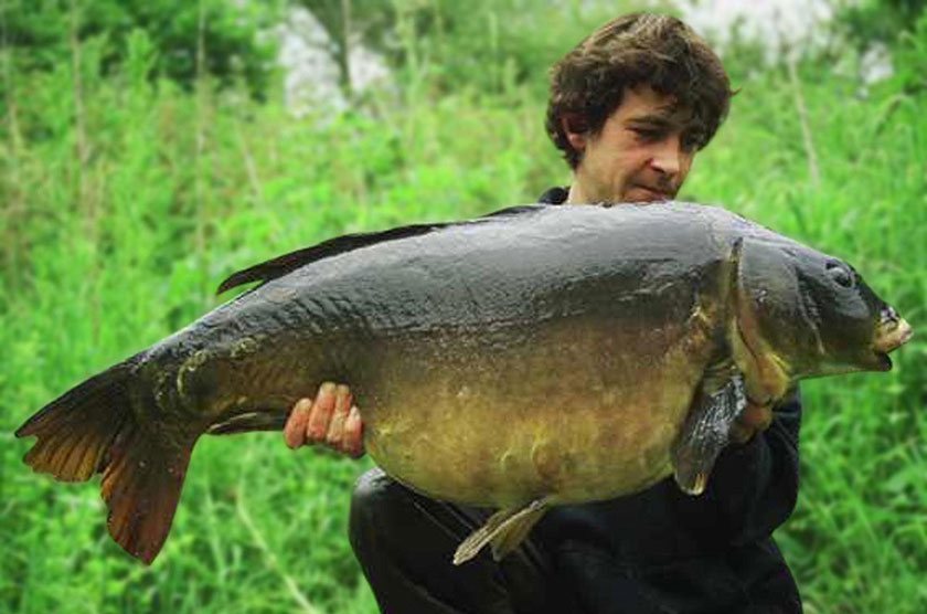 Nutsey Mirror (45lb 10oz) / Терри Хирн (Terry Hearn) / Nutsey